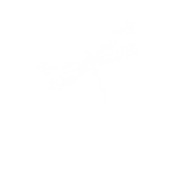 Dragonfly Wellness Centre