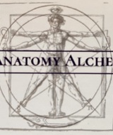 Book an Appointment with Stephanie Salo at Stephanie Salo, RMT