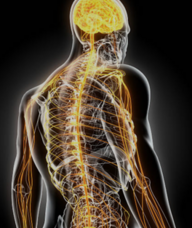 Book an Appointment with Mike Fischer for Massage Therapy