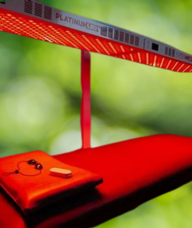 Book an Appointment with Red Light Therapy for Red Light Therapy