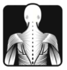 Mary Tam Massage