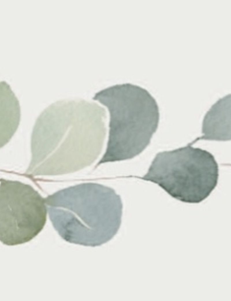 Photo of Amanda Power